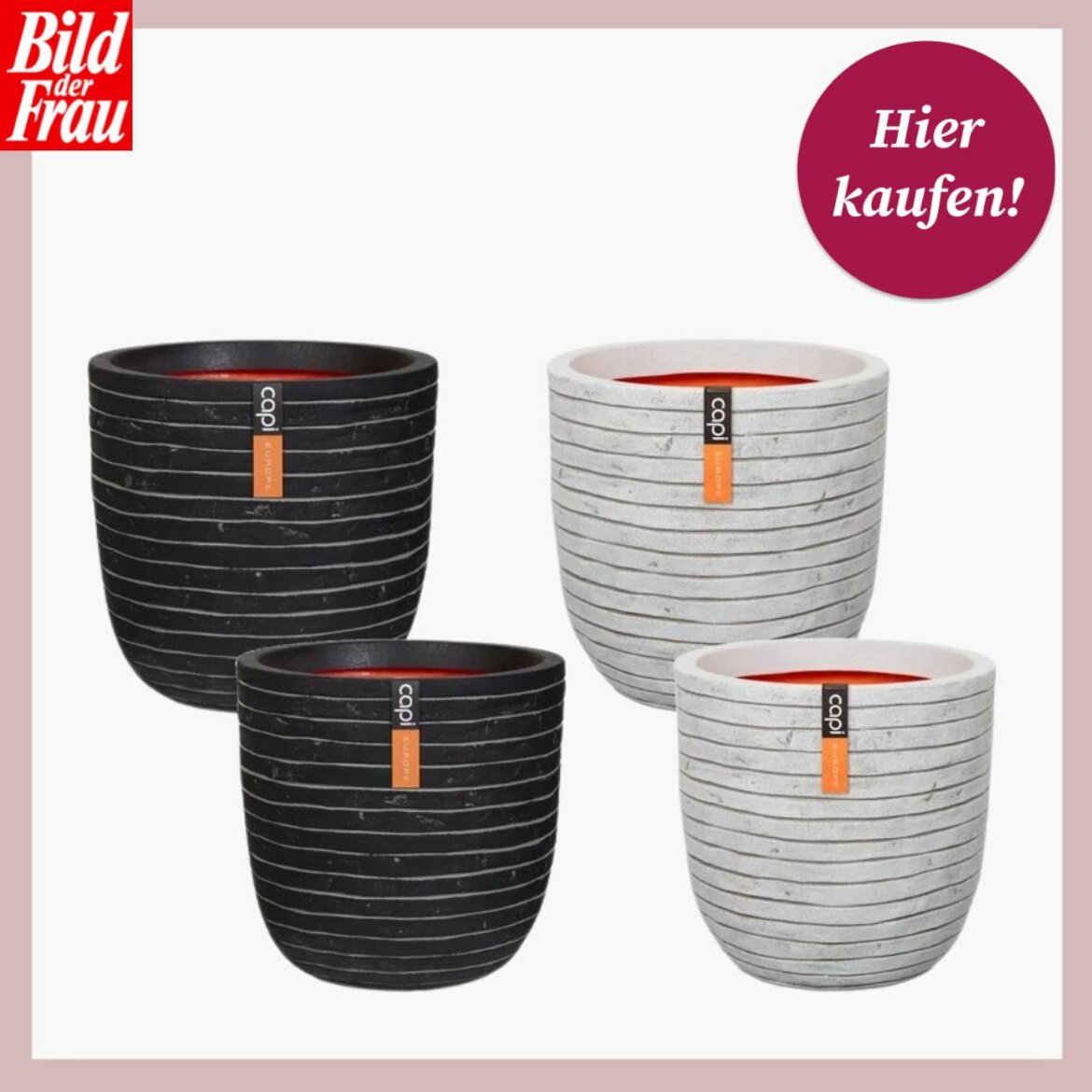 Neuer Look für deinen Balkon 5 SichtschutzDeals von Lidl, die überzeugen